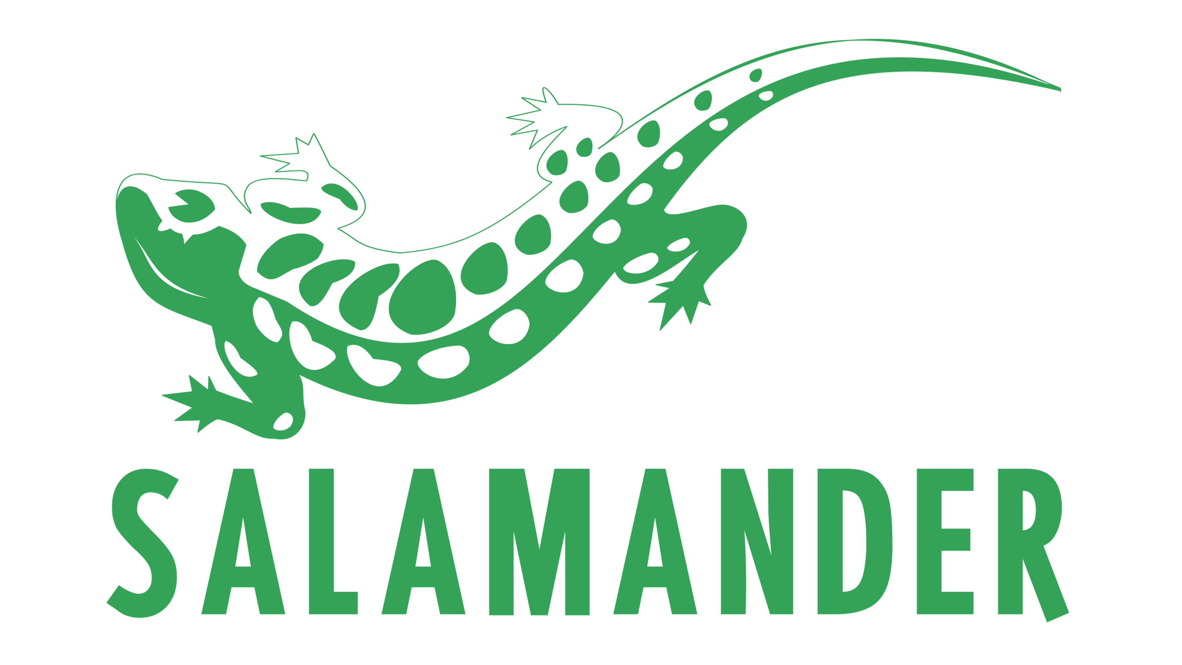 Manufacturer: SALAMANDER (go to products)